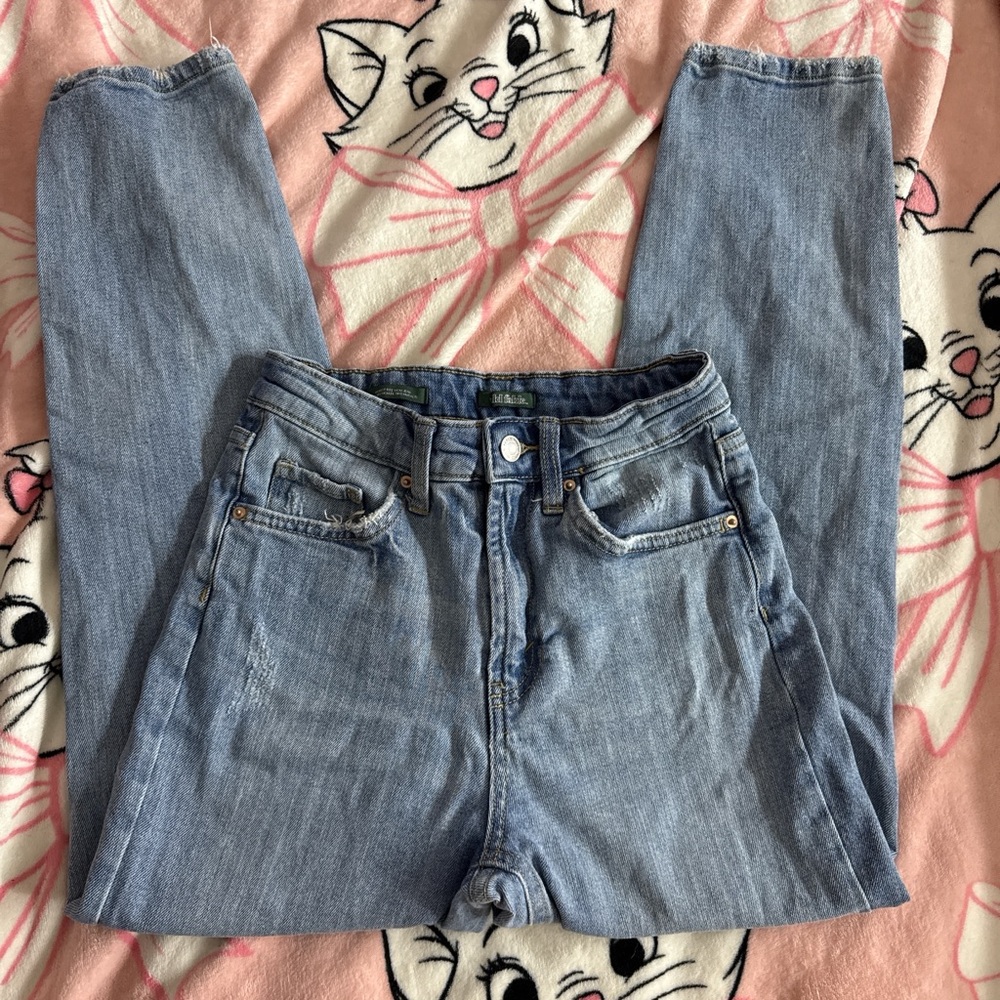 wild fable jeans